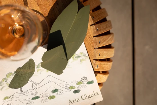 SantiLaurini.com Gallery