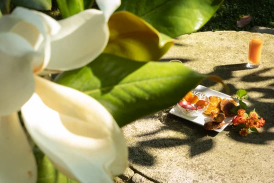 SantiLaurini.com Gallery