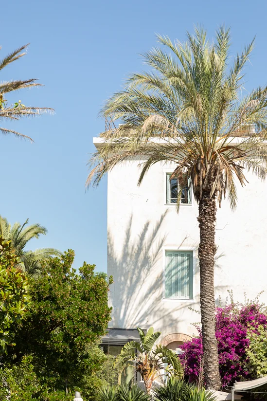 SantiLaurini.com Gallery