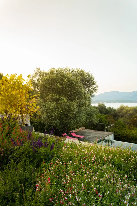 SantiLaurini.com Gallery