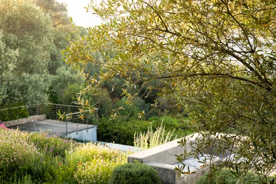 SantiLaurini.com Gallery