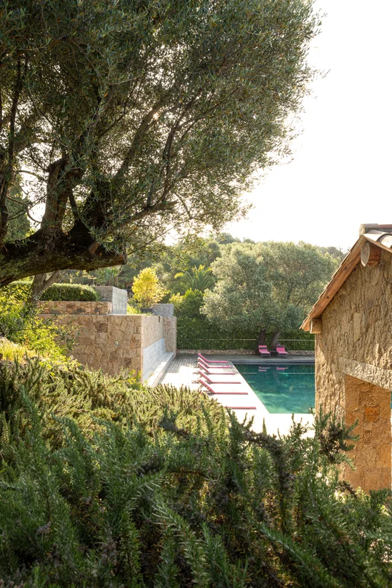 SantiLaurini.com Gallery