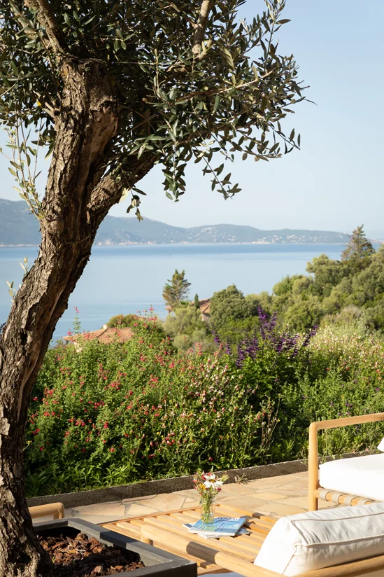 SantiLaurini.com Gallery