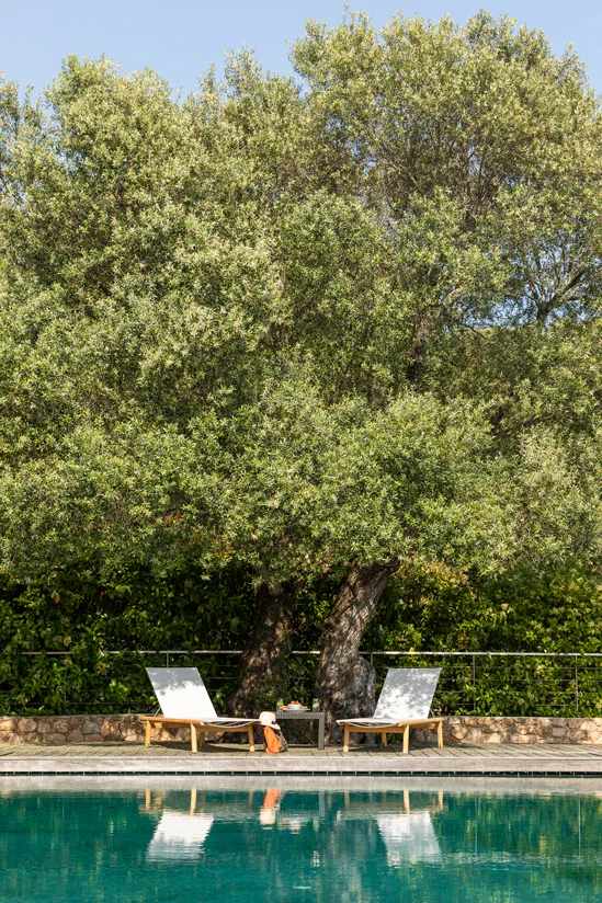 SantiLaurini.com Gallery