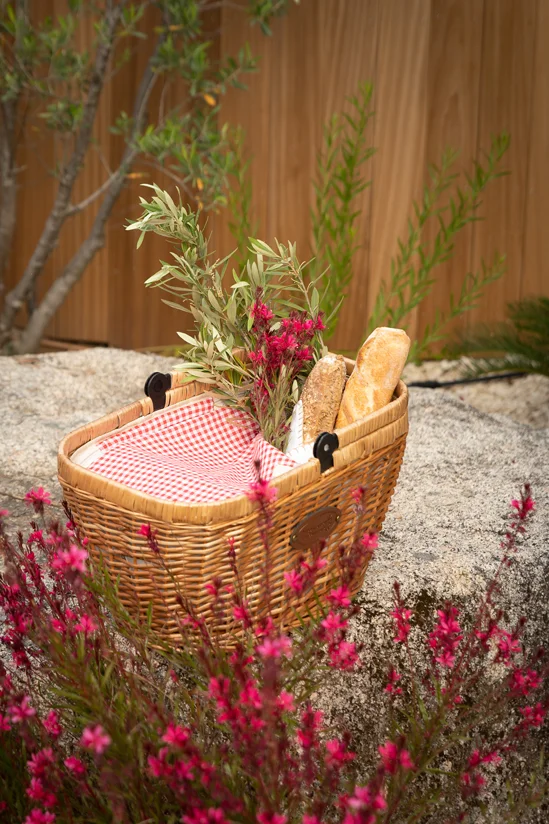 SantiLaurini.com Gallery