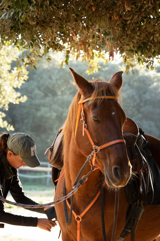 SantiLaurini.com Gallery