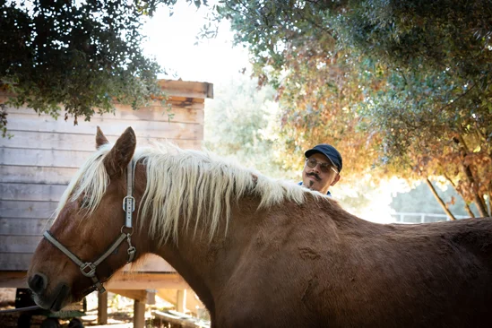 SantiLaurini.com Gallery