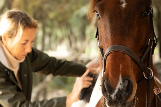 SantiLaurini.com Gallery