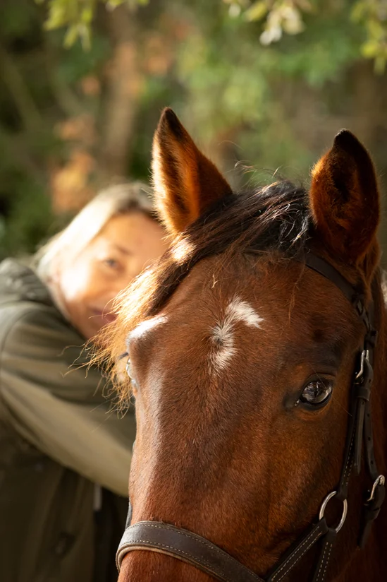 SantiLaurini.com Gallery