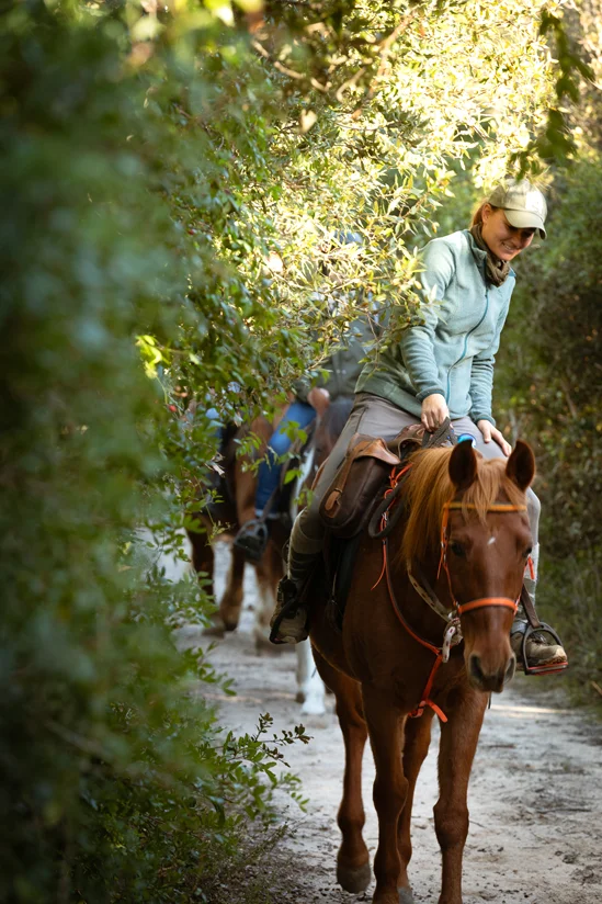 SantiLaurini.com Gallery