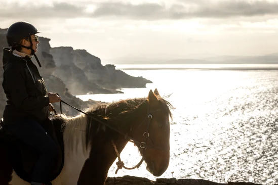 SantiLaurini.com Gallery