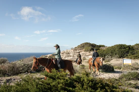 SantiLaurini.com Gallery