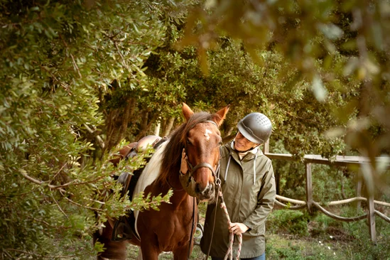 SantiLaurini.com Gallery