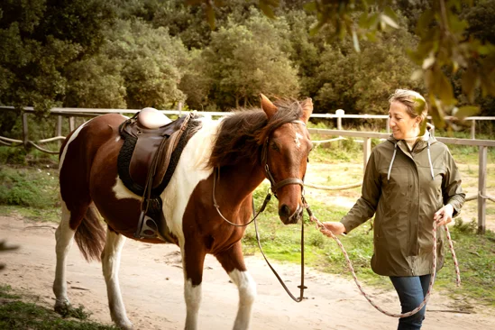 SantiLaurini.com Gallery