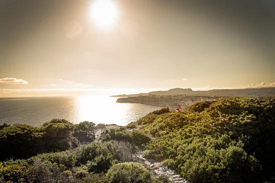 SantiLaurini.com Gallery