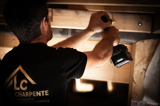 SantiLaurini.com Gallery