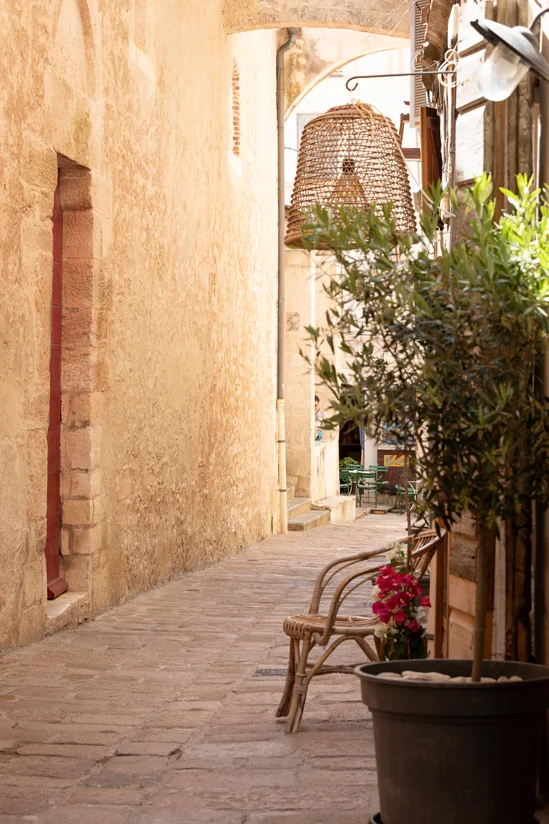 SantiLaurini.com Gallery