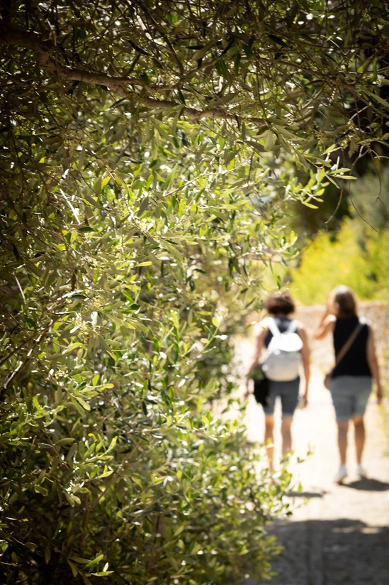 SantiLaurini.com Gallery