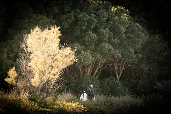 SantiLaurini.com Gallery