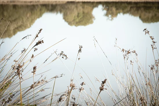 SantiLaurini.com Gallery