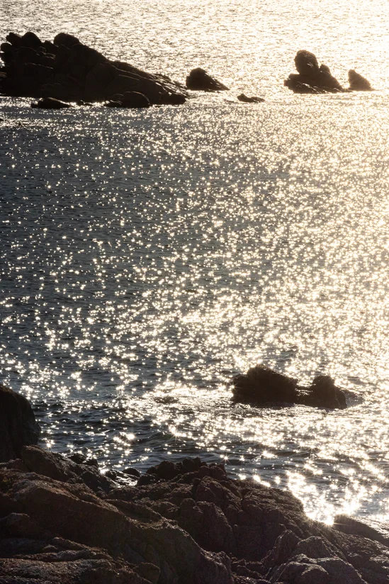 SantiLaurini.com Gallery