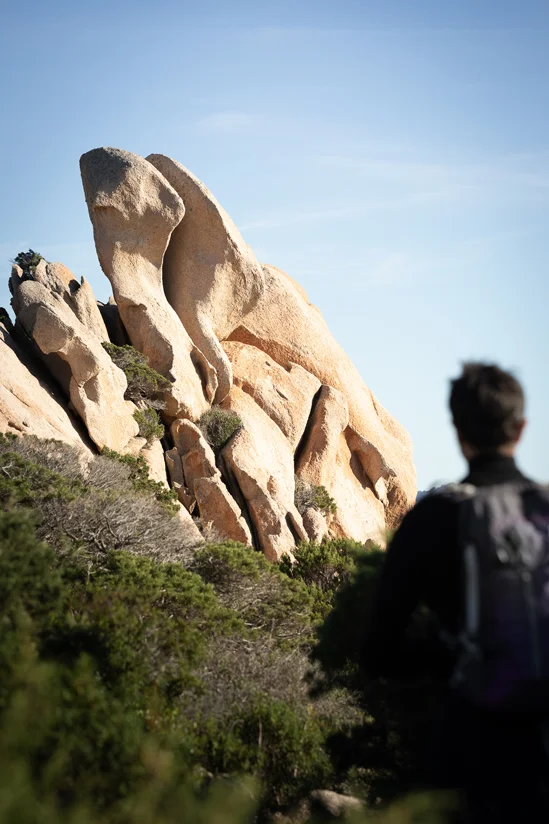 SantiLaurini.com Gallery