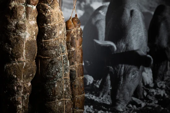 SantiLaurini.com Gallery