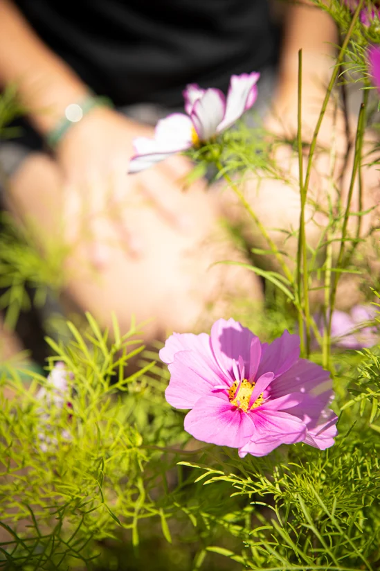 SantiLaurini.com Gallery