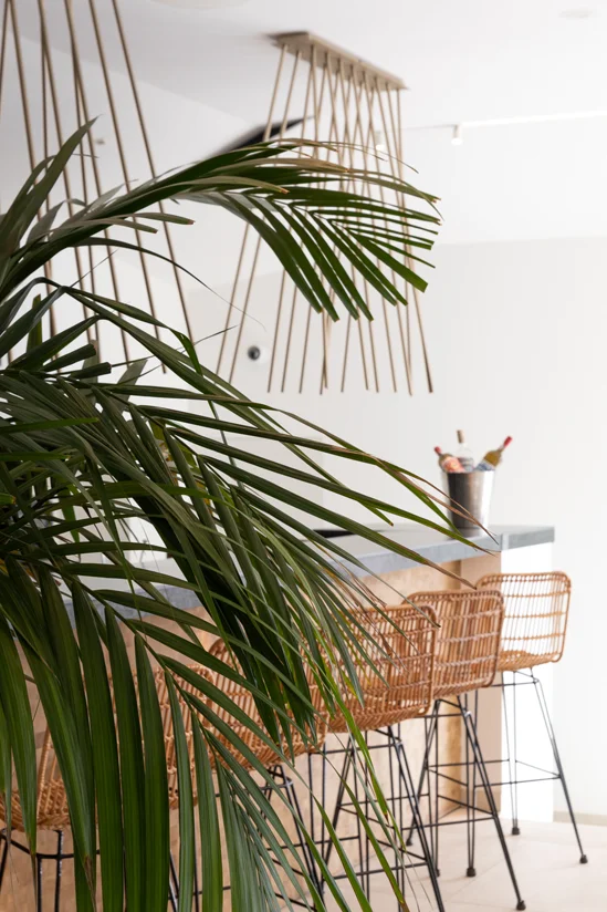 SantiLaurini.com Gallery