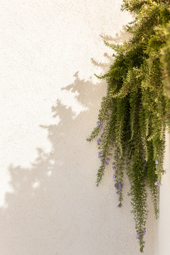 SantiLaurini.com Gallery