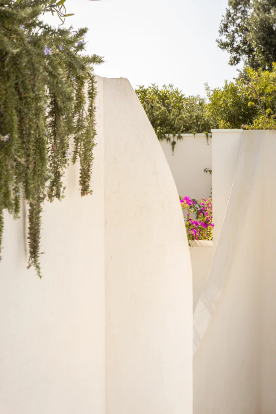 SantiLaurini.com Gallery