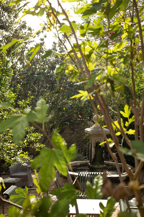 SantiLaurini.com Gallery