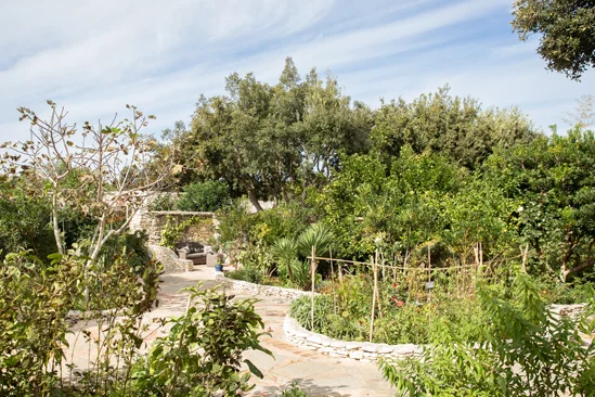 SantiLaurini.com Gallery