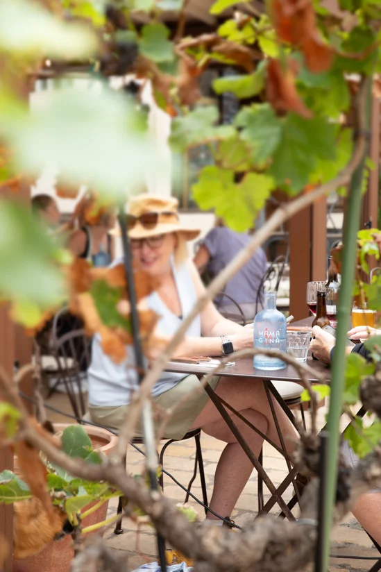 SantiLaurini.com Gallery